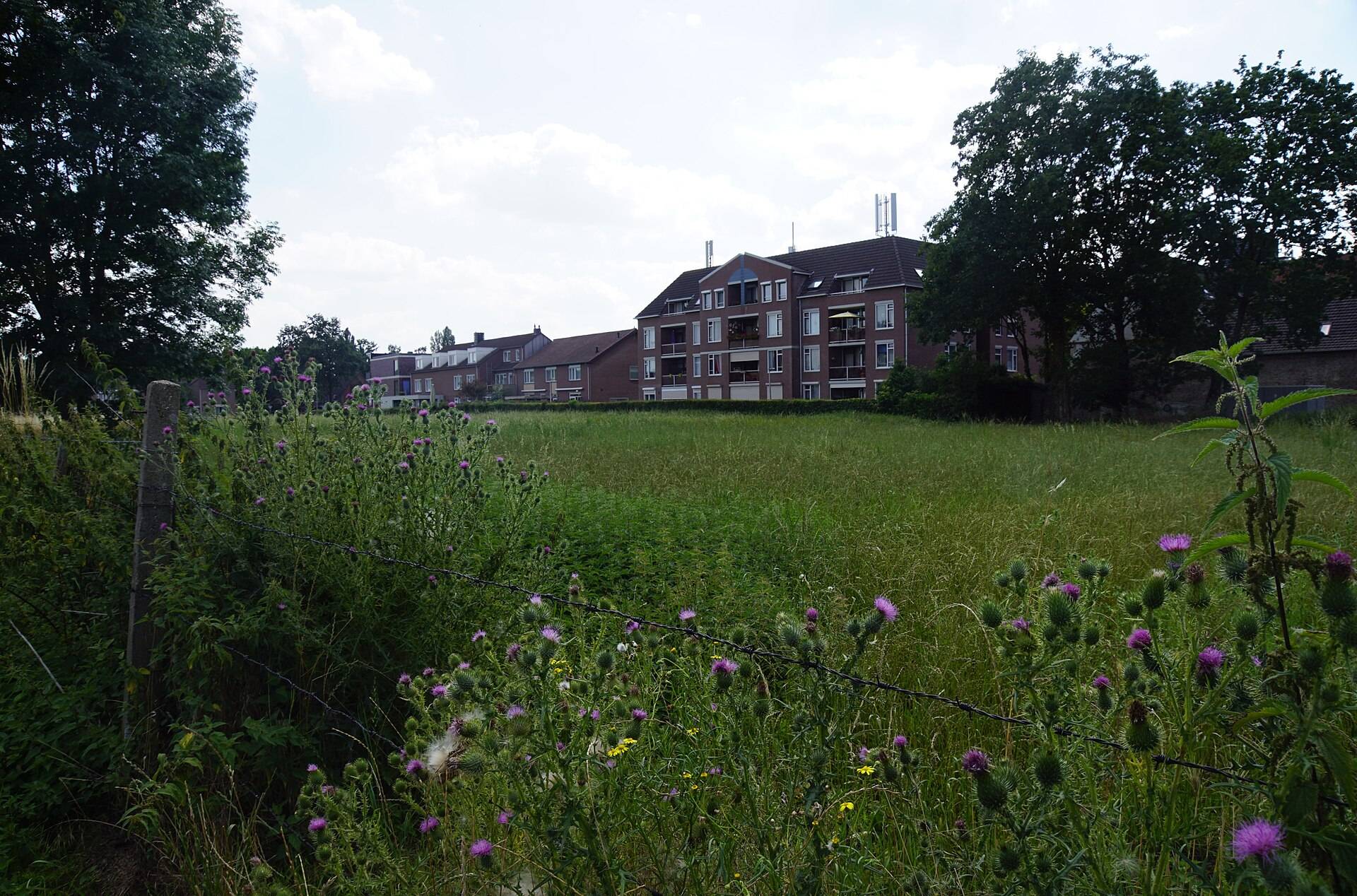 Weides van hoeve Severen
